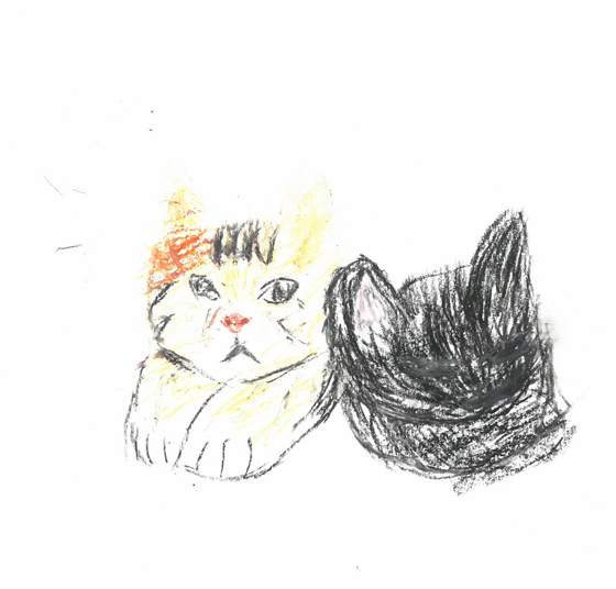 空良さん