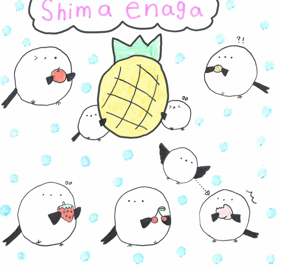 しまちゃん
