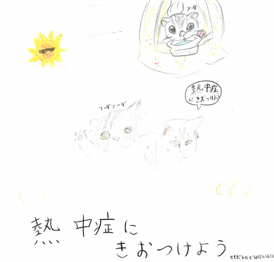 さあねこ