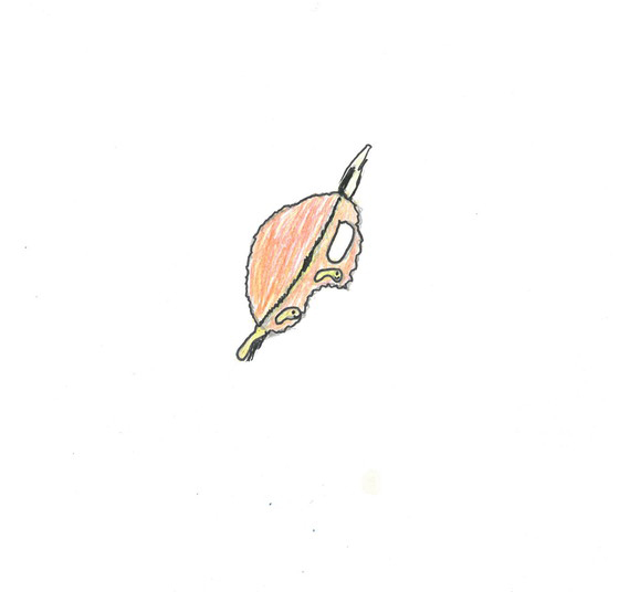 たいちぇる