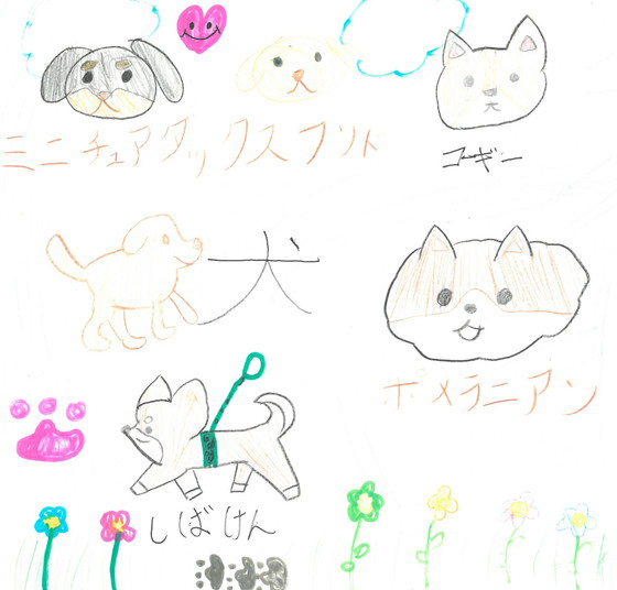 ここ