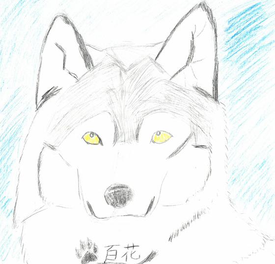 狼だいすき