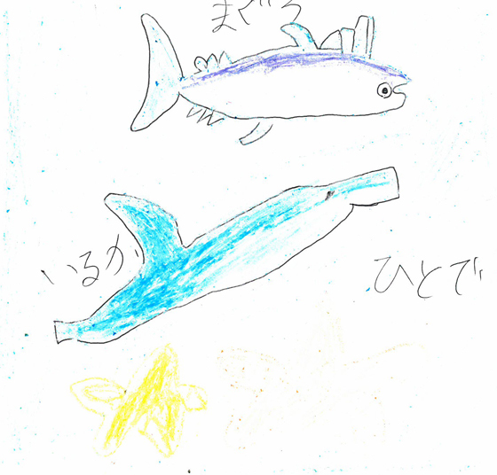 さしみ