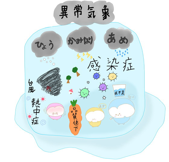 えっぴ