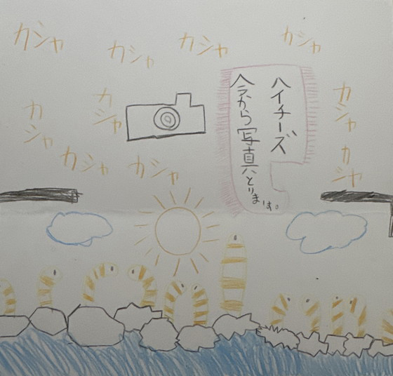 チンアナゴ