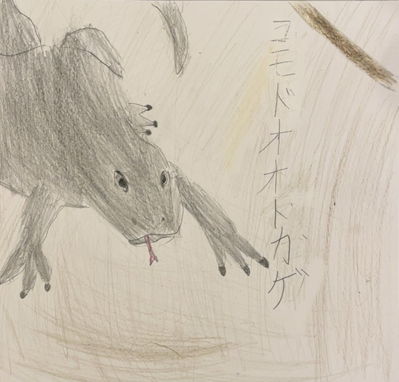 こうくん