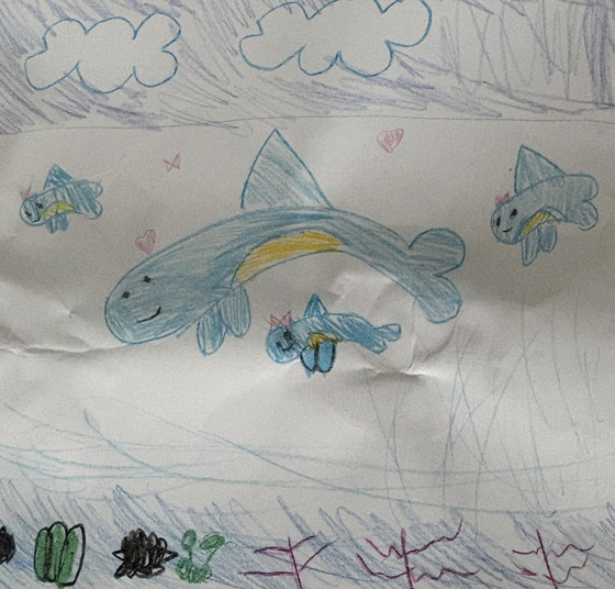 さや