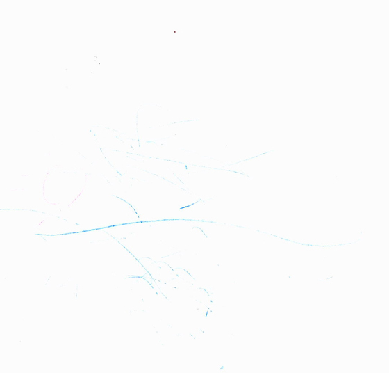 ひろ