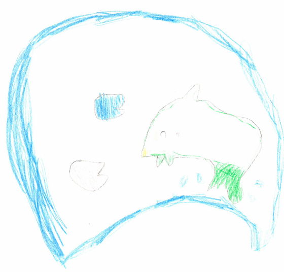 こなつ