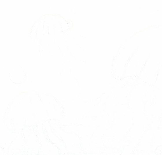 しま