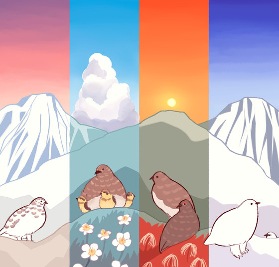ころも