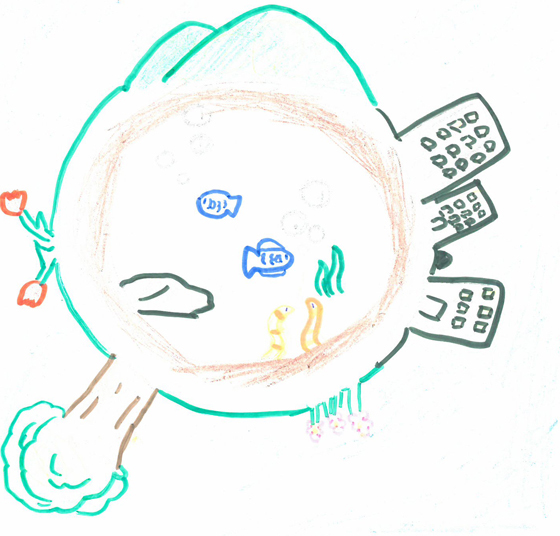 ひまわり