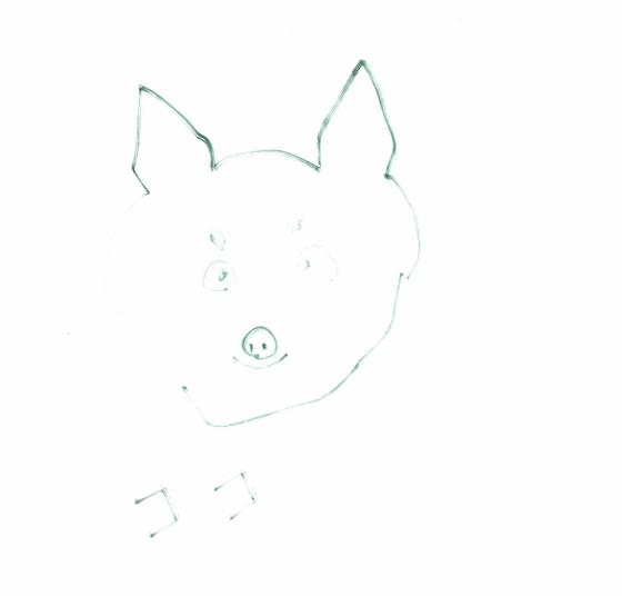 は