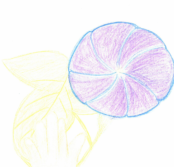 ひかりんママ