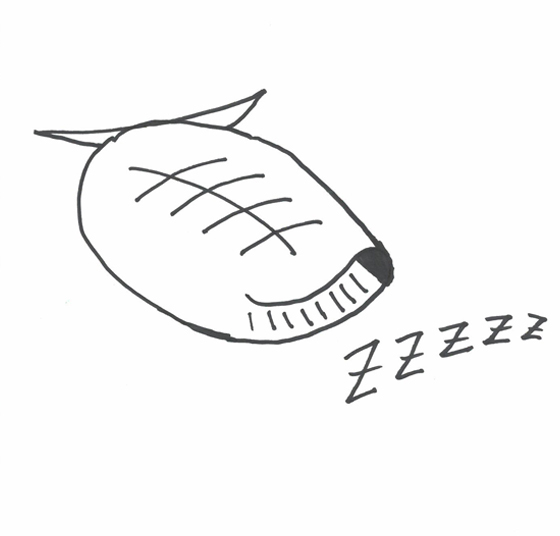 ささやん