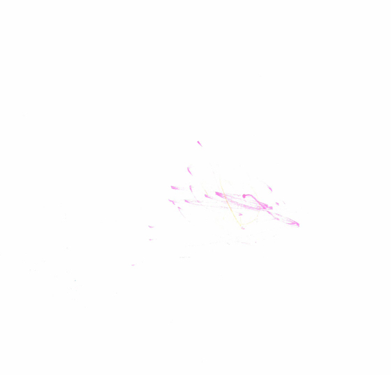 りーと