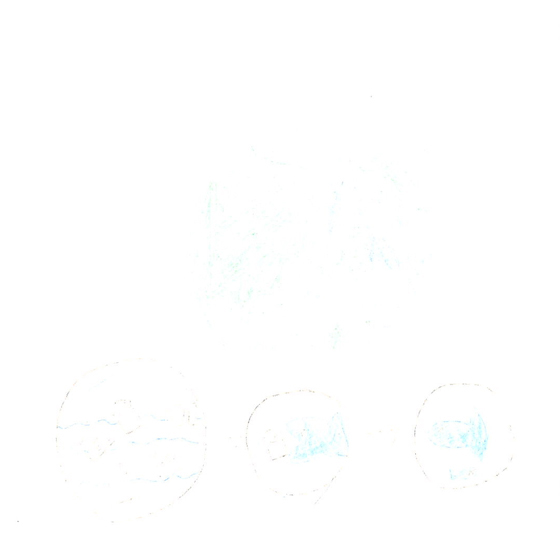 きい