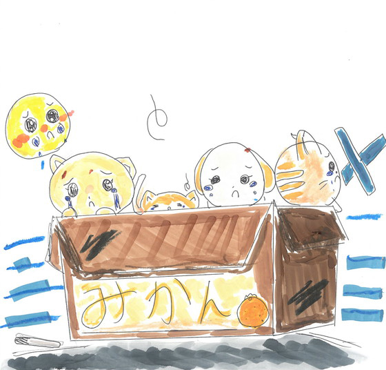 のの