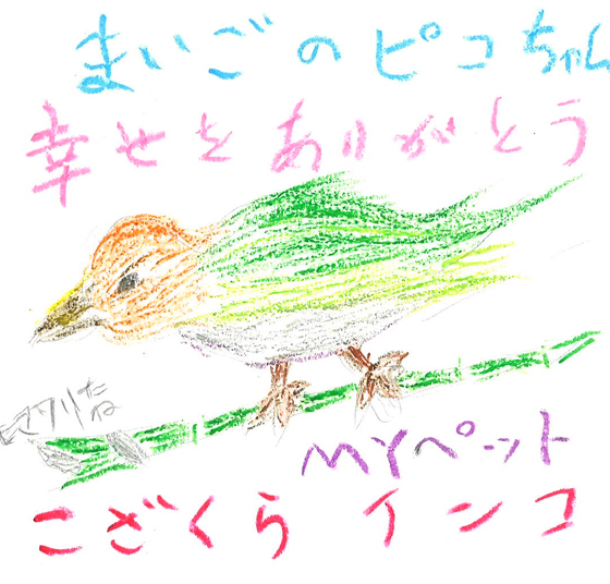 安子さん