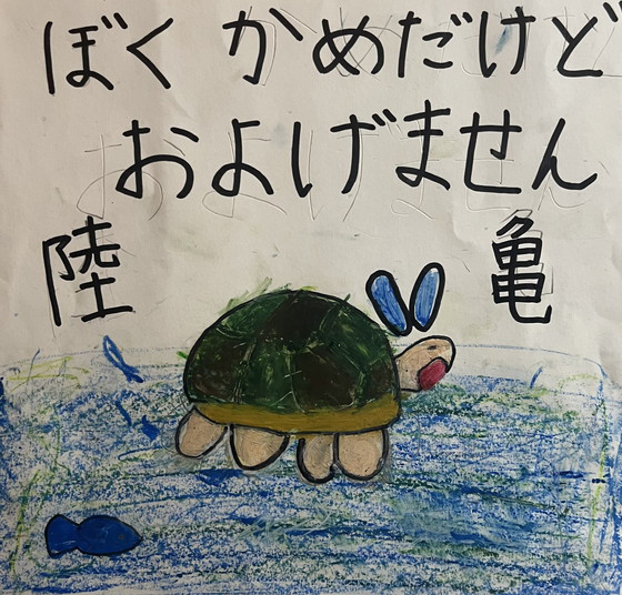 かめさん