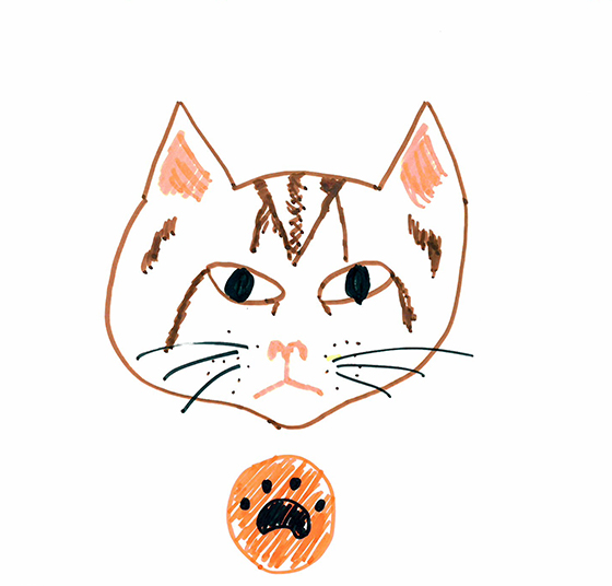 みいとん