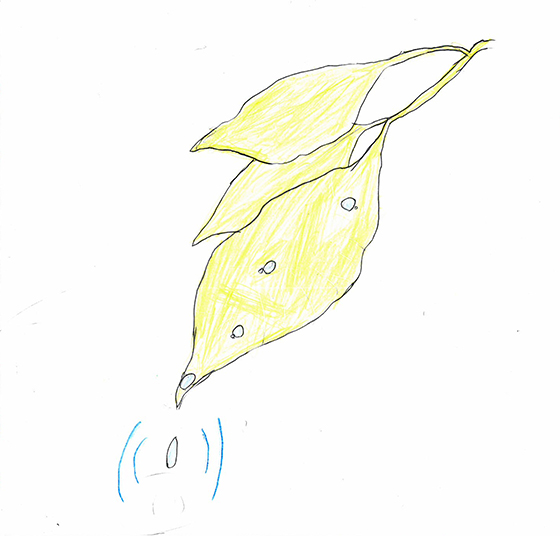 すけどん。