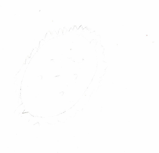たぴ