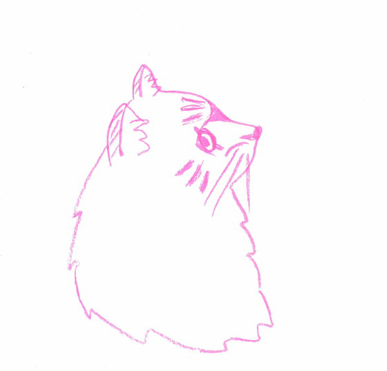 なっちゃん