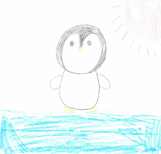 まこ
