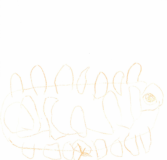 あきと