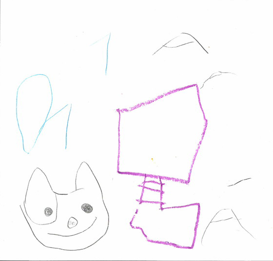 けいと