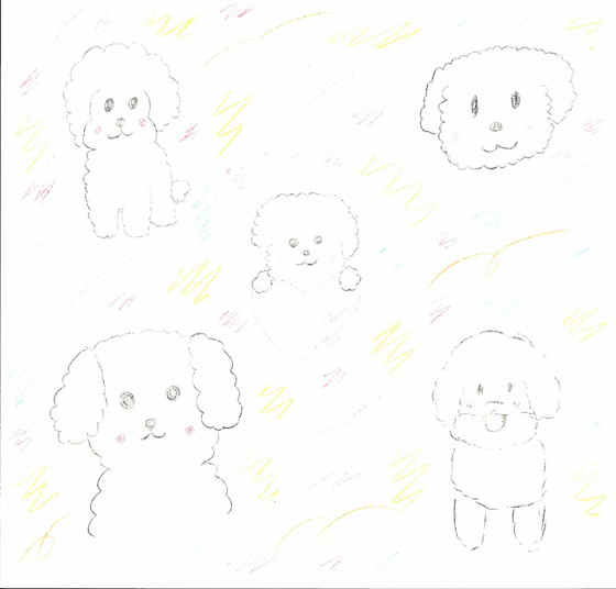 真由美さん