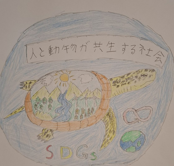 ウミガメ