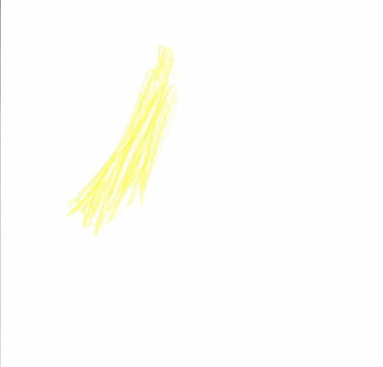 いおりさん
