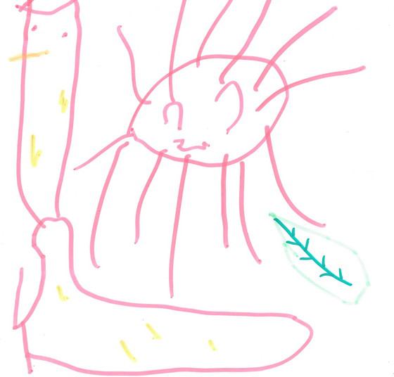 あこちゃん
