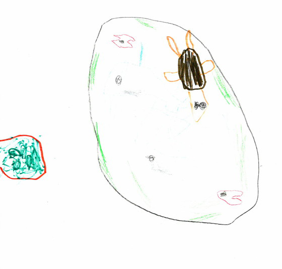 あこりん