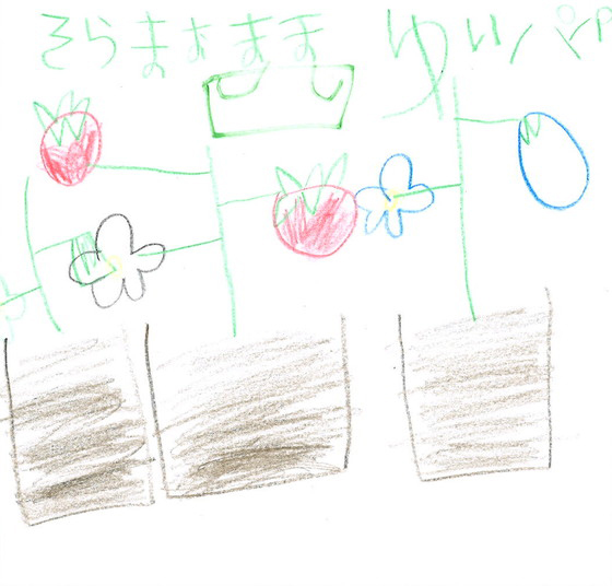 まお