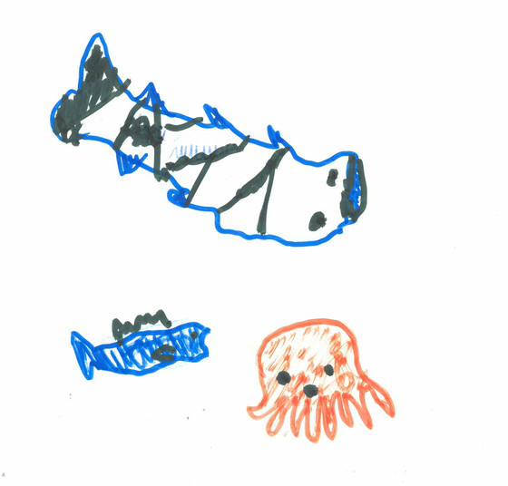 よっしー