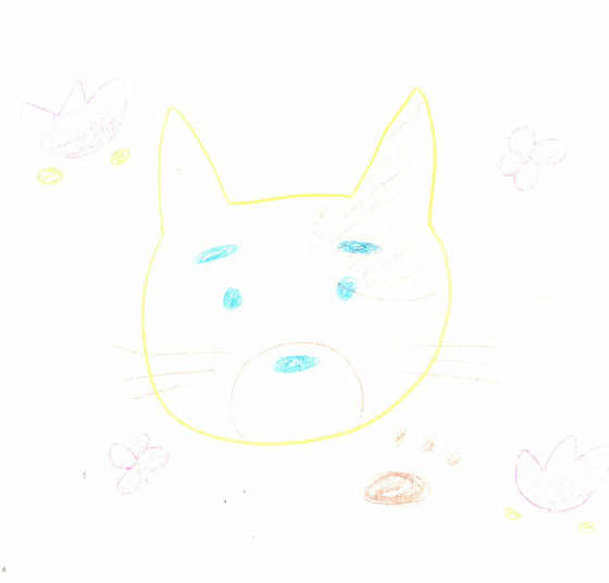あおちゃん