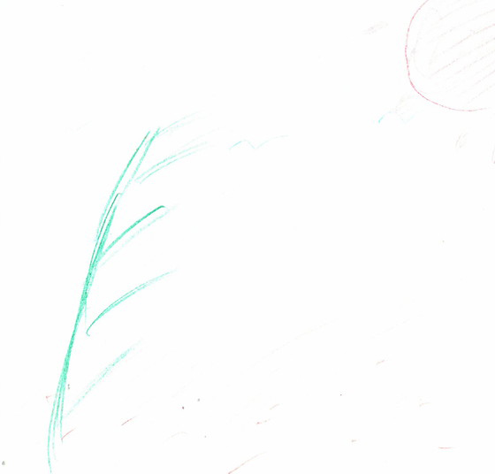 まいな