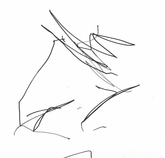 きこ