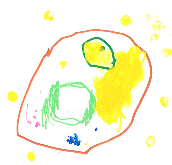 はまだここの